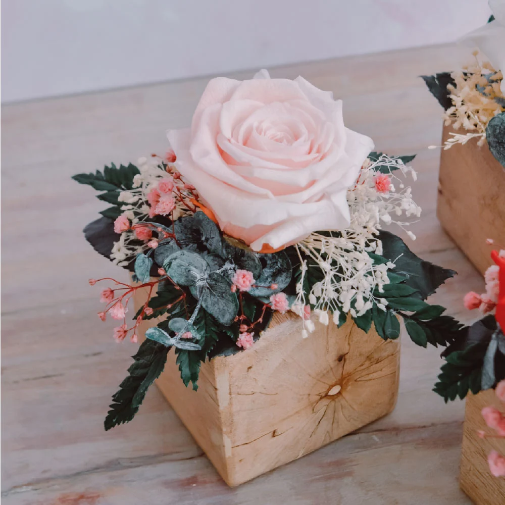 Elisa Preservado - Imagen 5