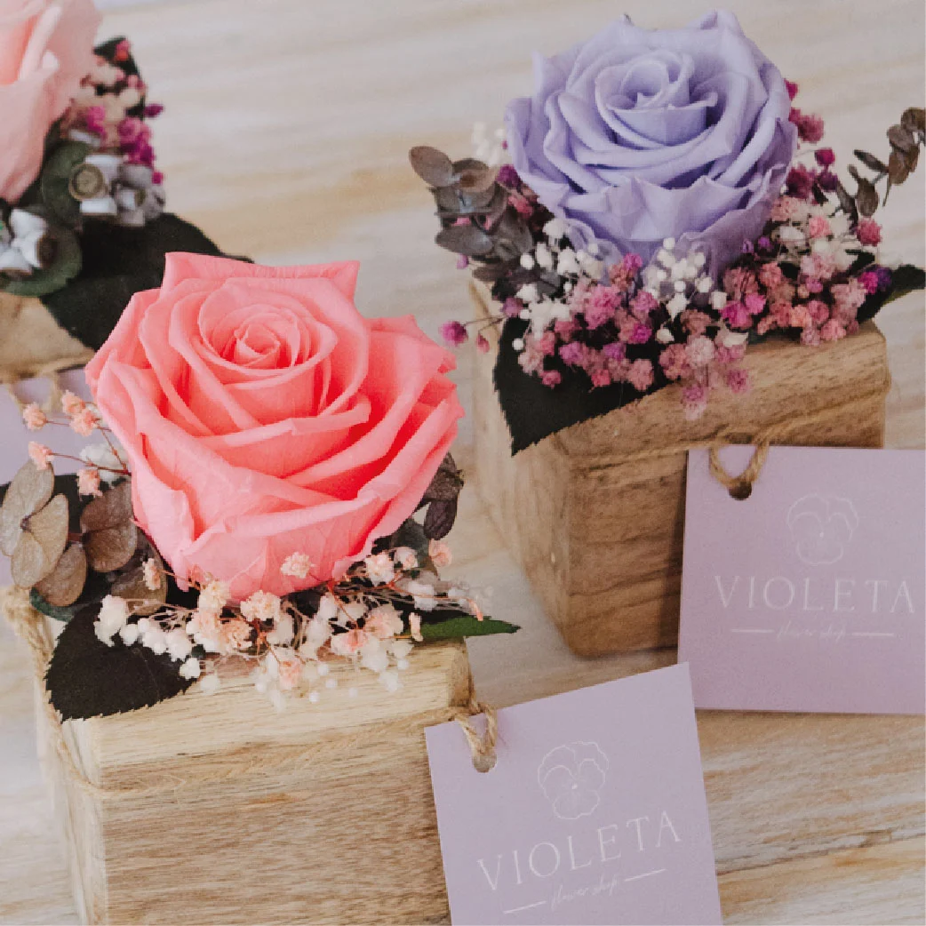 Elisa Preservado - Imagen 2