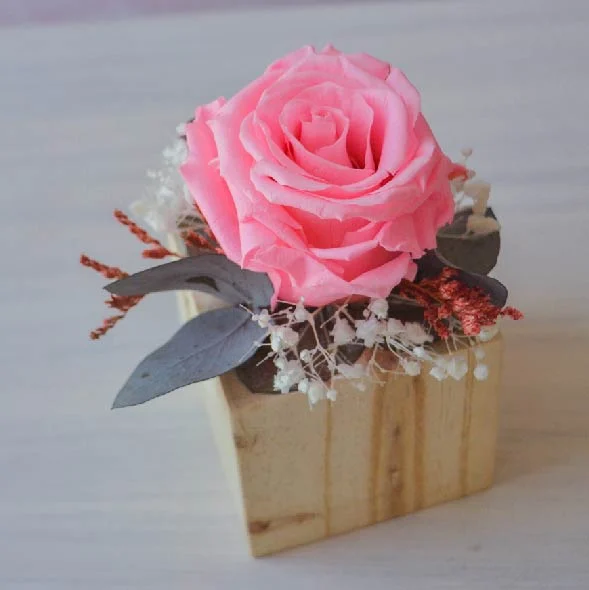 Elisa Preservado - Imagen 7