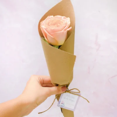 Rosa Día de la Mujer