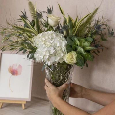 Club Violeta Quincenal